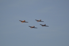 DSC_0547 (1280x851) (2) (1)