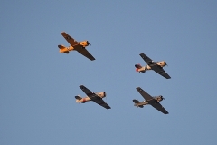 DSC_0550 (1280x851) (2) (1)