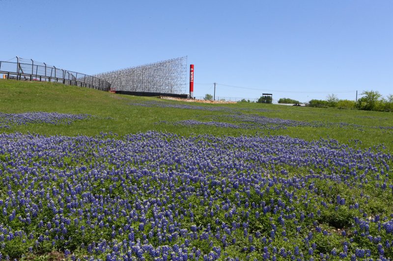Mar 24, 2023; Austin, Texas, USA;  A general overview of the bluebonnets on corner 9 at the Circuit of the Americas. Credit: Michael C. Johnson